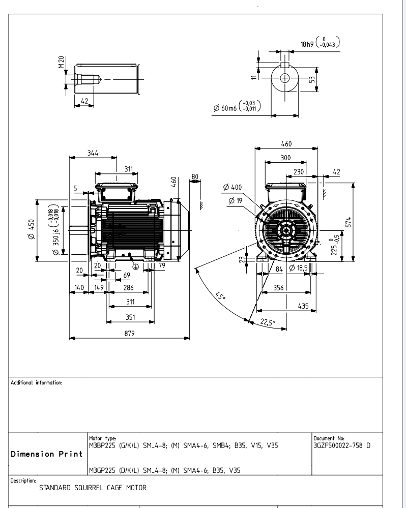 Standard squirrel Cage motor.png